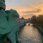 Yucca Ljubljana